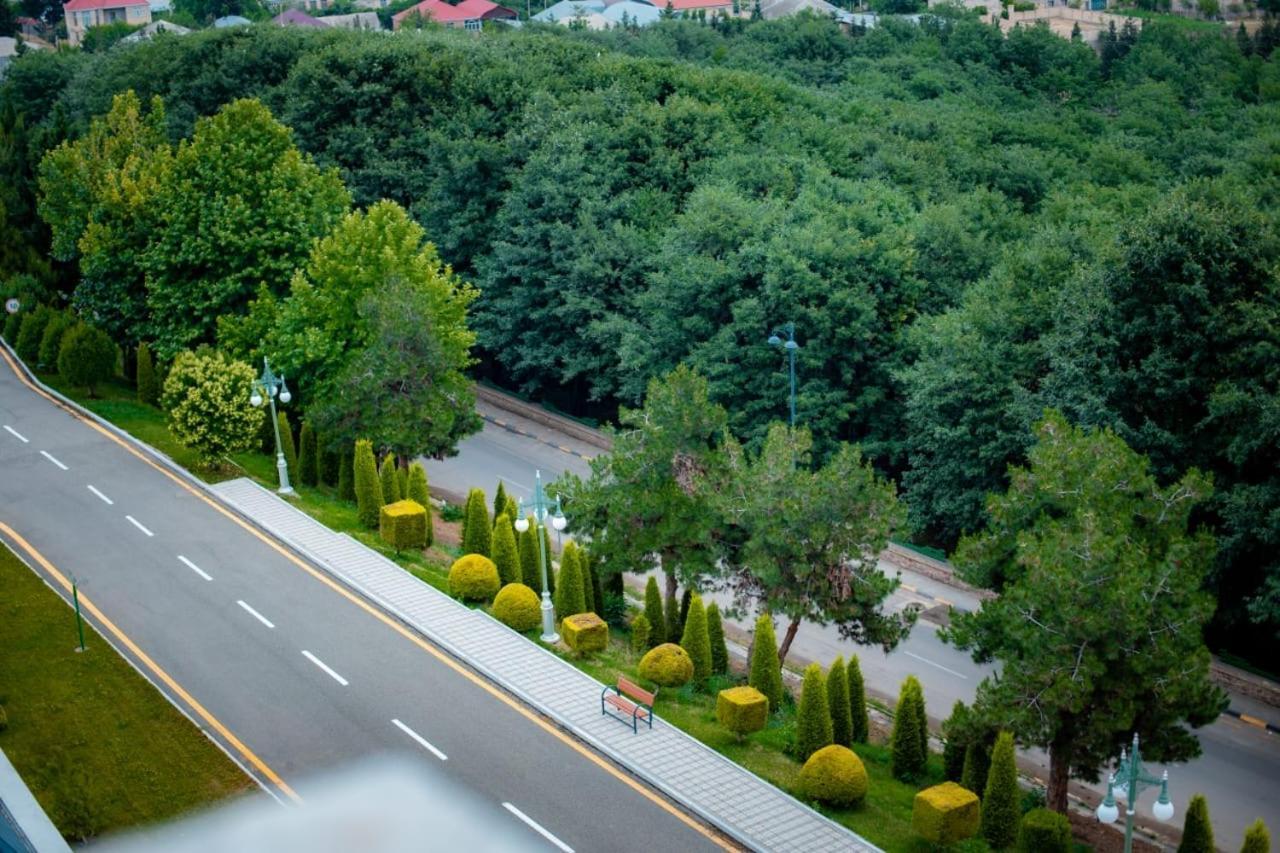 Ayan Palace Hotel Tovuz エクステリア 写真