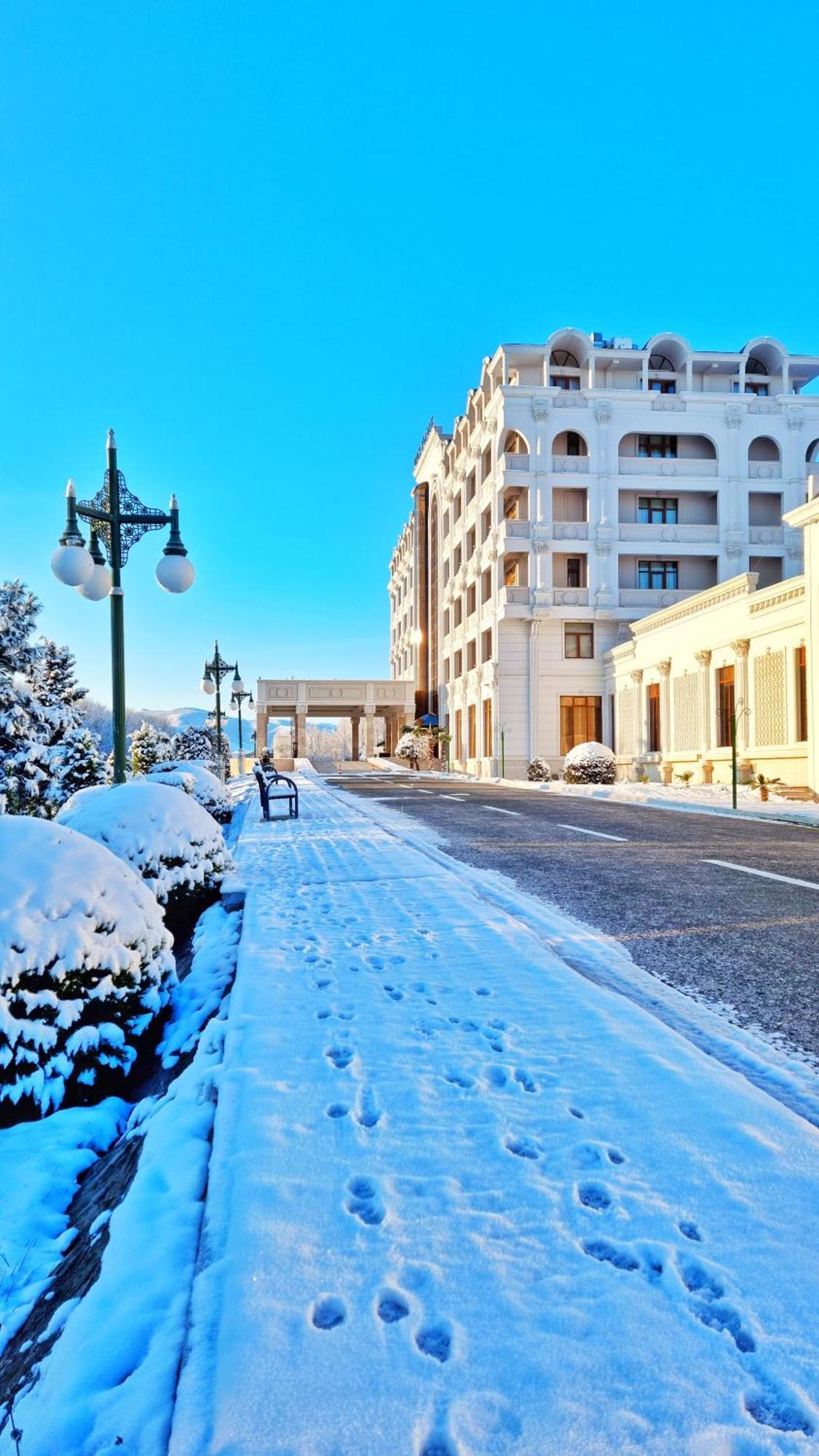 Ayan Palace Hotel Tovuz エクステリア 写真
